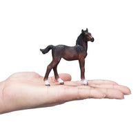 Hanoverian Foal Bay