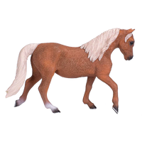 Morgan Stallion Palomino