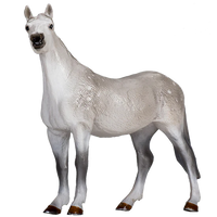 Orlov Trotter Dapple Grey
