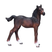 Hanoverian Foal Bay