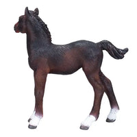 Hanoverian Foal Bay