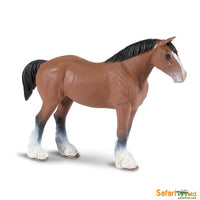 Clydesdale Stallion