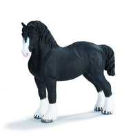 Shire Stallion