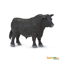 Angus Bull