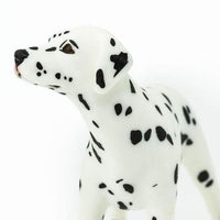 Dalmation