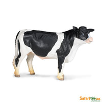 Holstein Bull