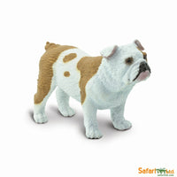Bulldog