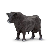 Angus Bull