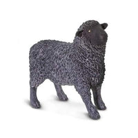 Black Sheep