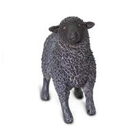 Black Sheep