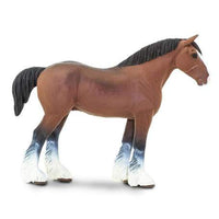 Clydesdale Stallion