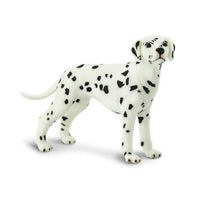 Dalmation
