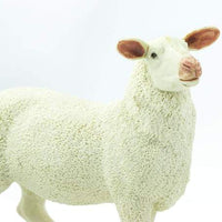Ewe