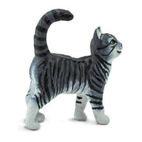 Gray Tabby Cat