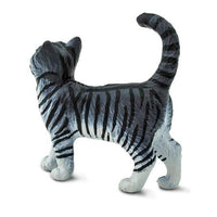 Gray Tabby Cat