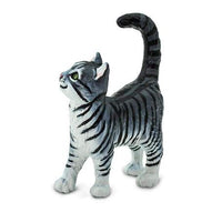 Gray Tabby Cat