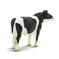 Holstein Bull
