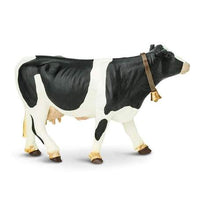 Holstein Cow