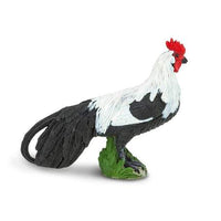 Phoenix Rooster