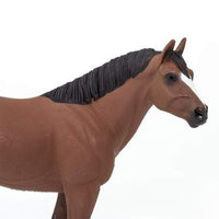 Quarter Horse Gelding