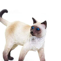 Siamese