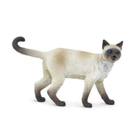 Siamese