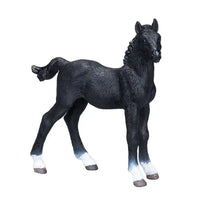 Hanoverian Foal Black
