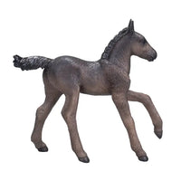 Arabian Foal Black
