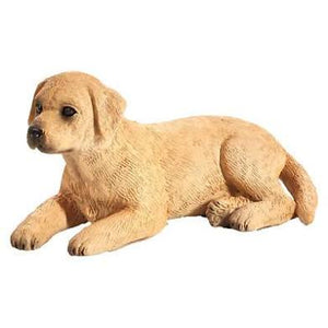 Labrador Puppy Laying Down
