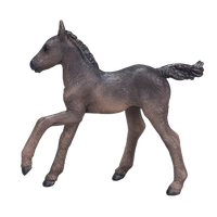 Arabian Foal Black
