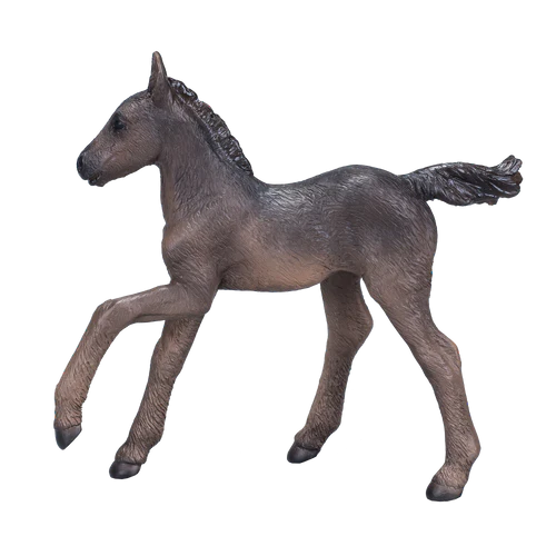 Arabian Foal Black