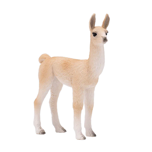 Llama Baby