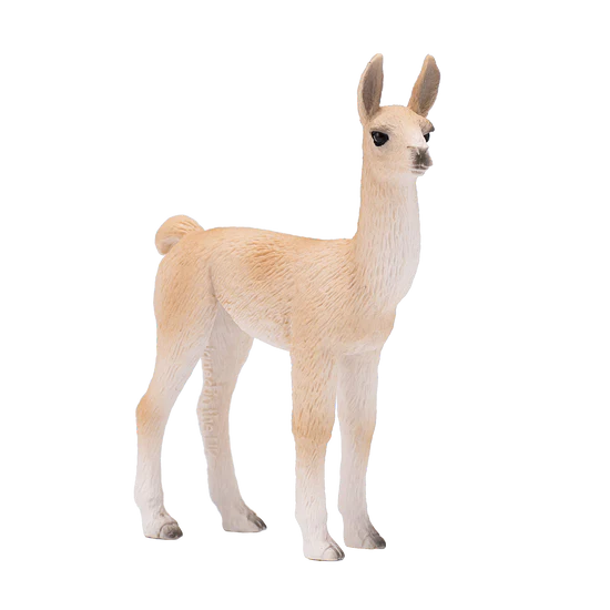 Llama Baby