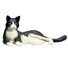Black & White Cat Laying Down