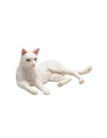 White Cat Laying Down