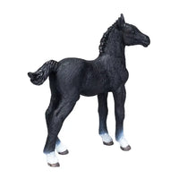 Hanoverian Foal Black
