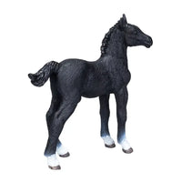 Hanoverian Foal Black