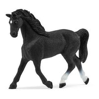 Holstein Mare