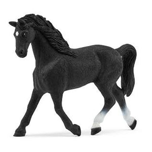 Holstein Mare