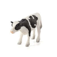 Holstein Calf Standing