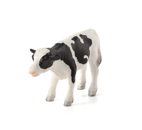 Holstein Calf Standing