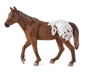 Appaloosa Stallion Chestnut Blanket