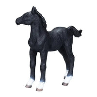 Hanoverian Foal Black
