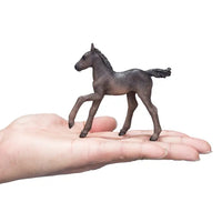 Arabian Foal Black
