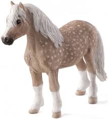 Welsh Pony