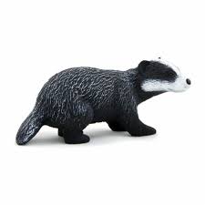 Badger