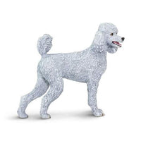 Poodle