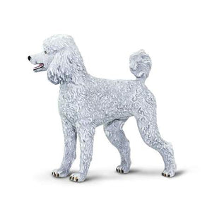 Poodle