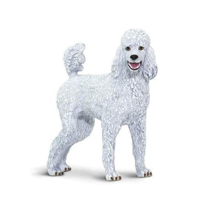 Poodle