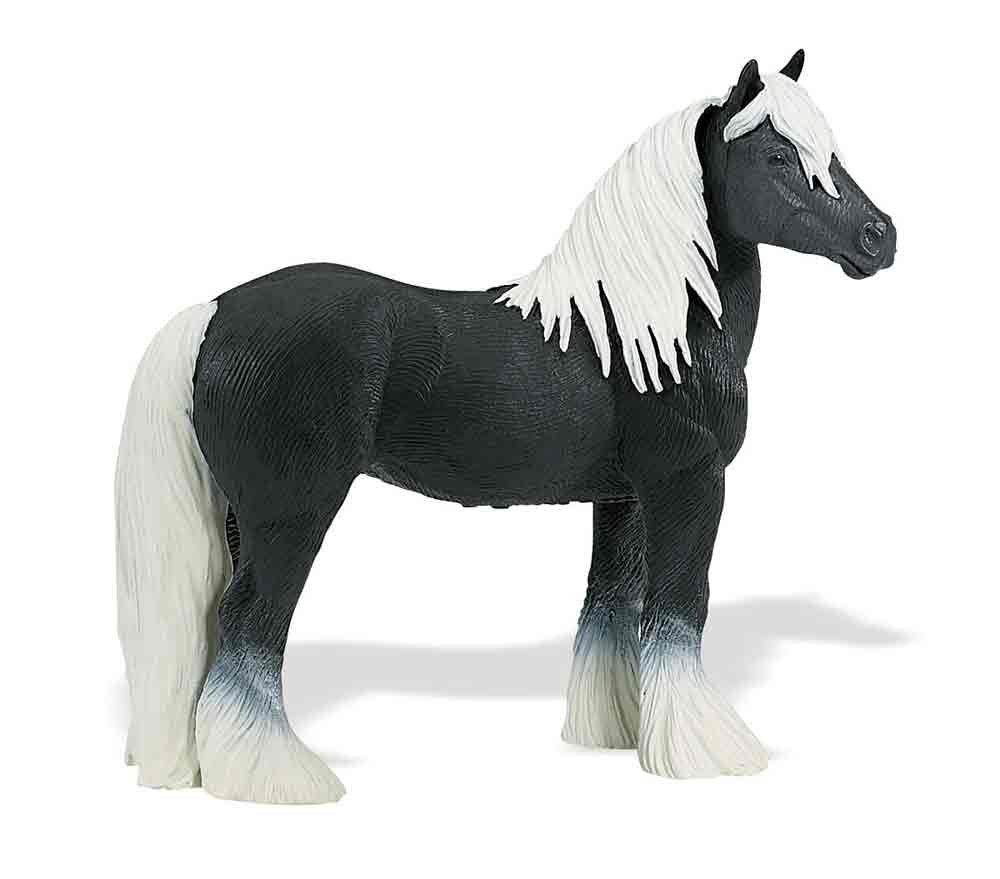 Gypsy Vanner Stallion